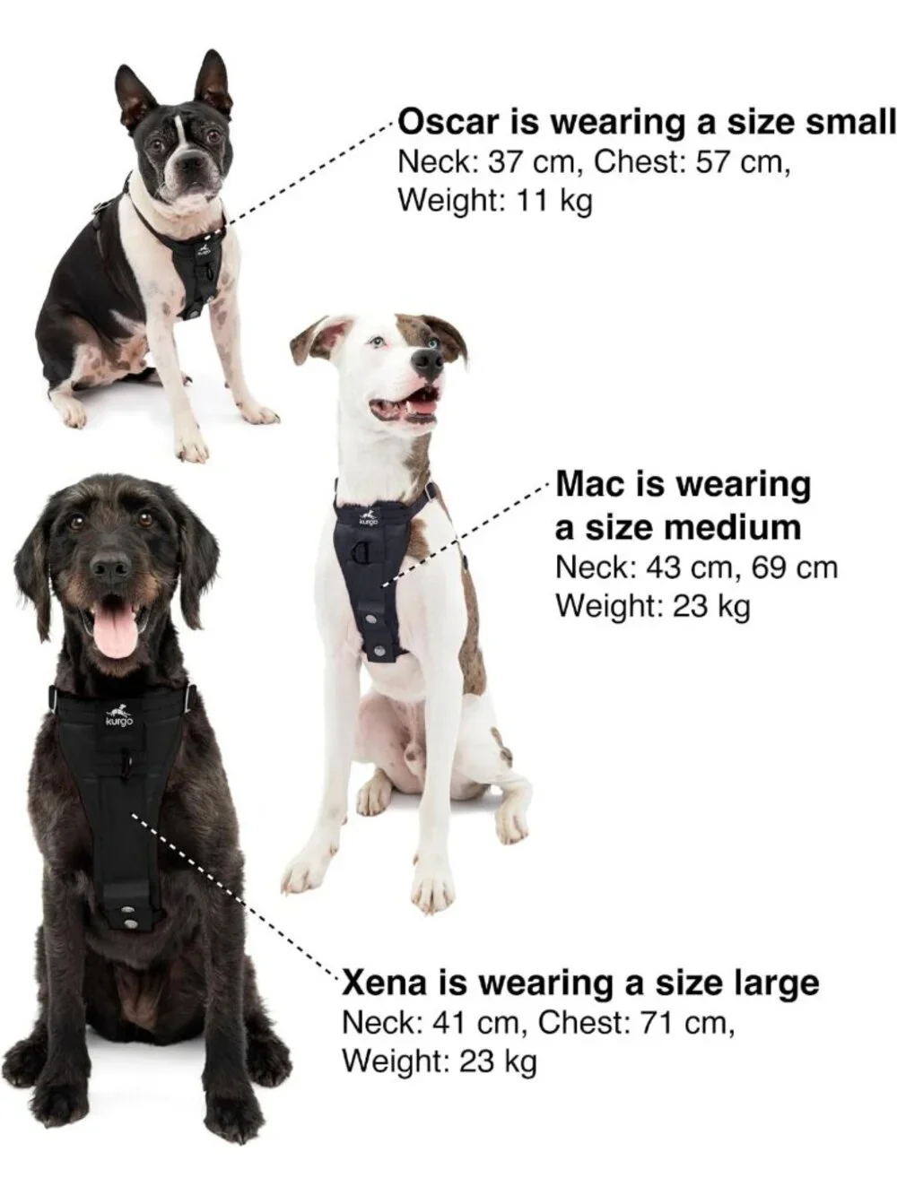 Large Adjustable Dog Harness - Enhanced Strength, No-Pull Design, Black